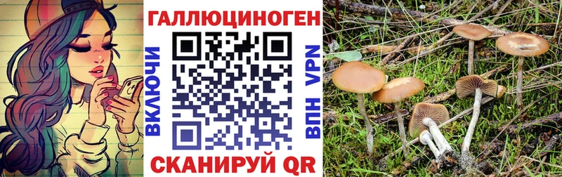 Псилоцибиновые грибы мухоморы  что такое наркотик  Анапа 